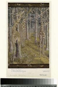 Giraffes - Robert Winthrop Chanler